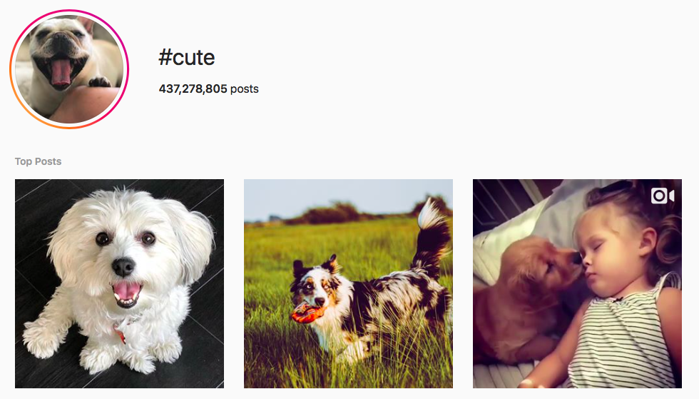 #cute Trending Instagram Hashtags